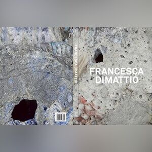 Francesca DiMattio Art Book